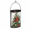 Budget ⭐ Outdoor Lighting Evergreen Hand Painted Cardinal Solar Glass Lantern 🔔